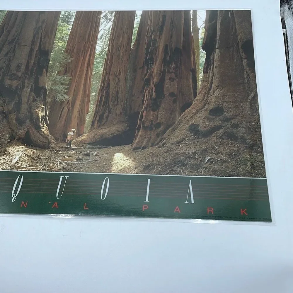 Vintage Souvenir placemat 2 sided Kings Canyon Sequoia N.P.